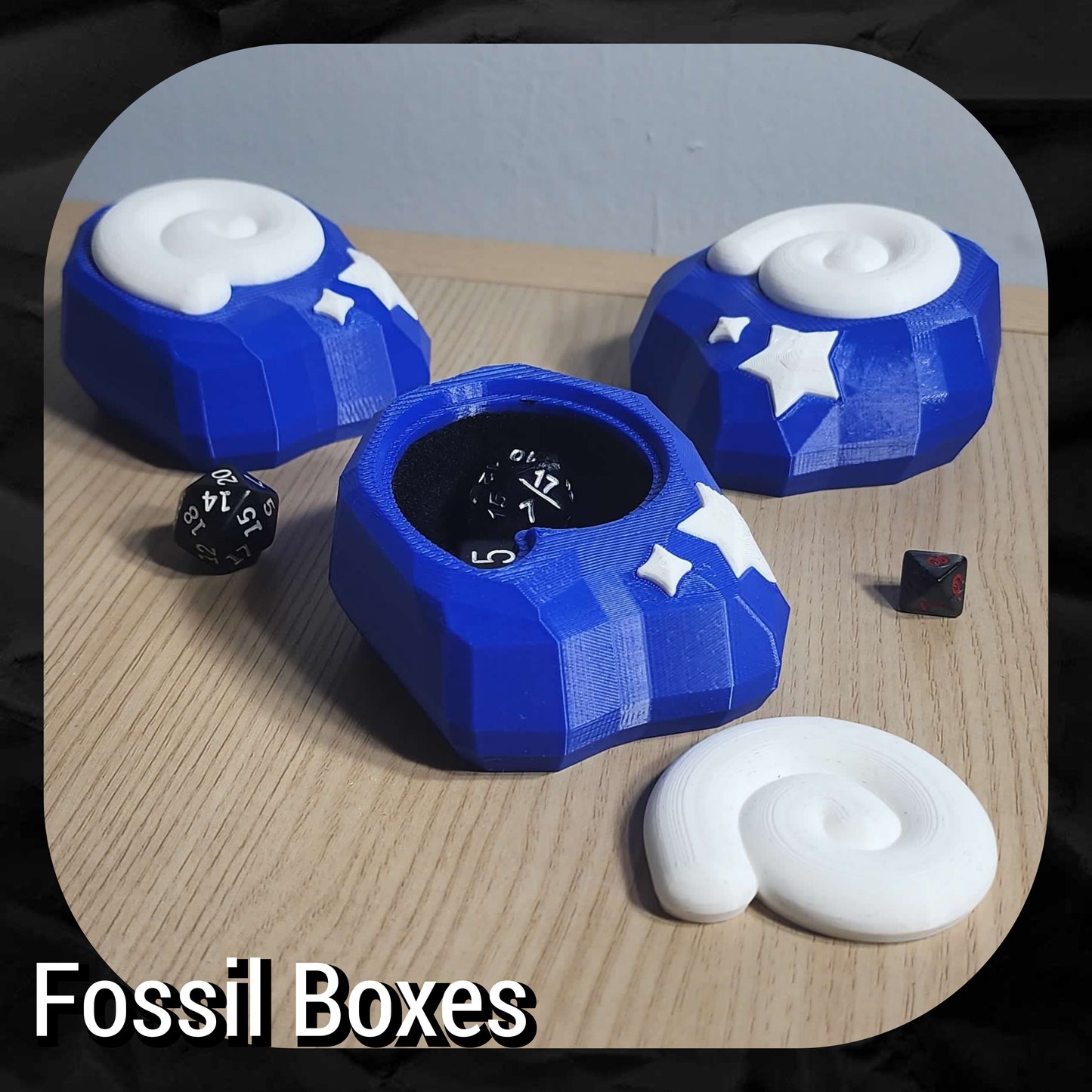 Fossil Box